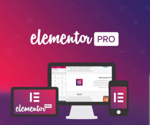 Elementor Pro 1 Year