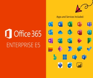 Microsoft Office 365 Enterprise E5 - Annual