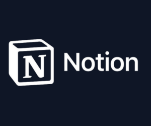 Notion - 5 months