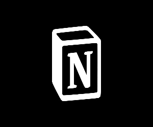 Notion - 5 months
