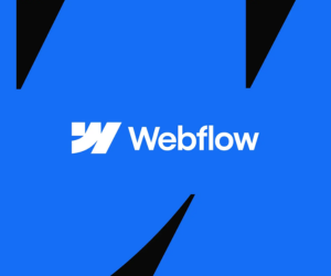 Webflow Business - 1 Year Plan